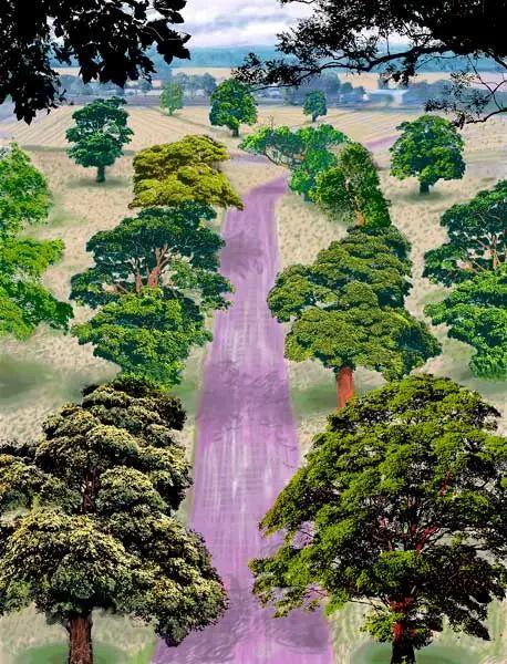 《Winter Road Near Kilham》和《Summer Road Near Kilham》，2008，電腦繪畫