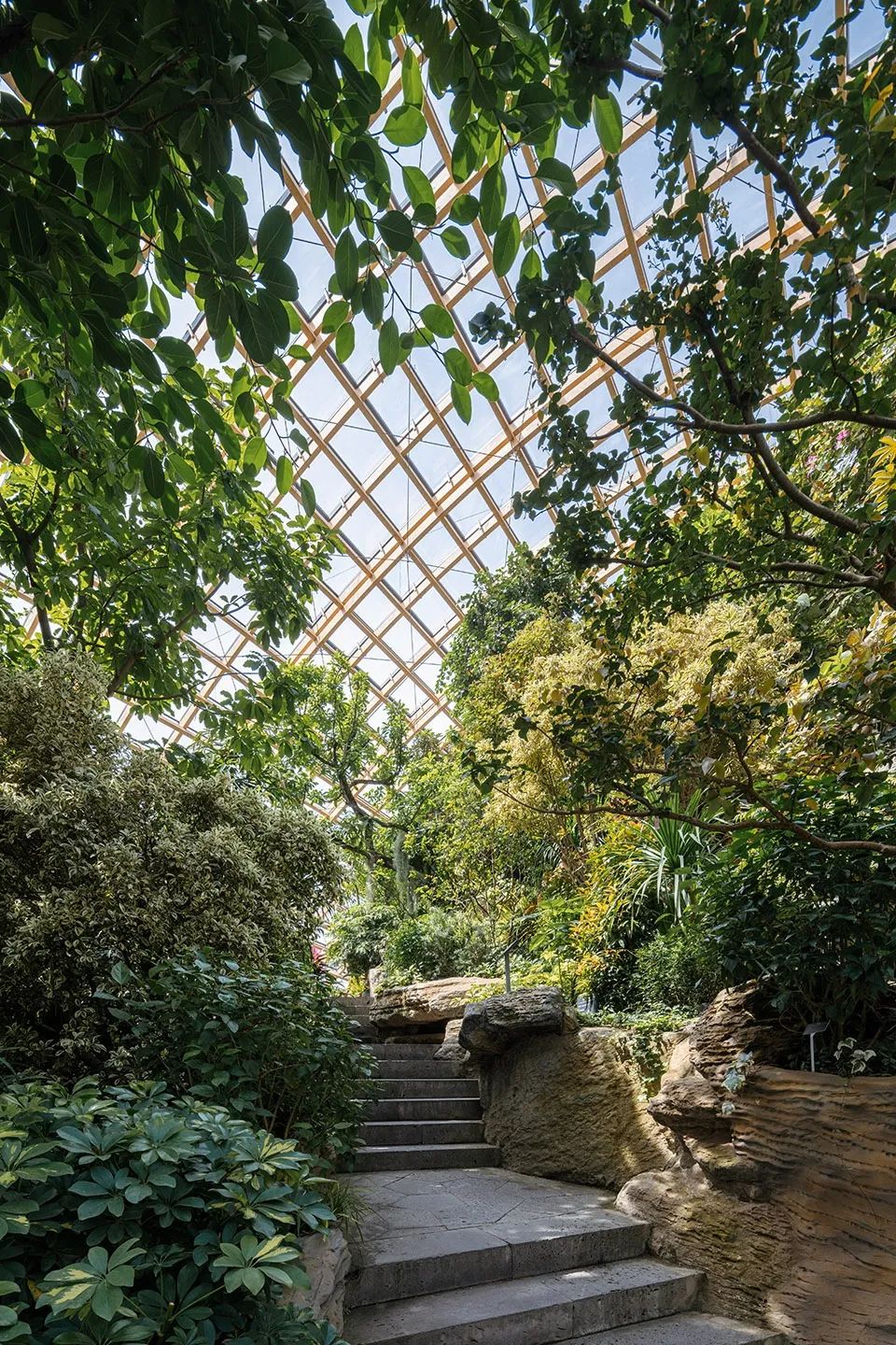 太原植物園木構與自然景觀相呼應