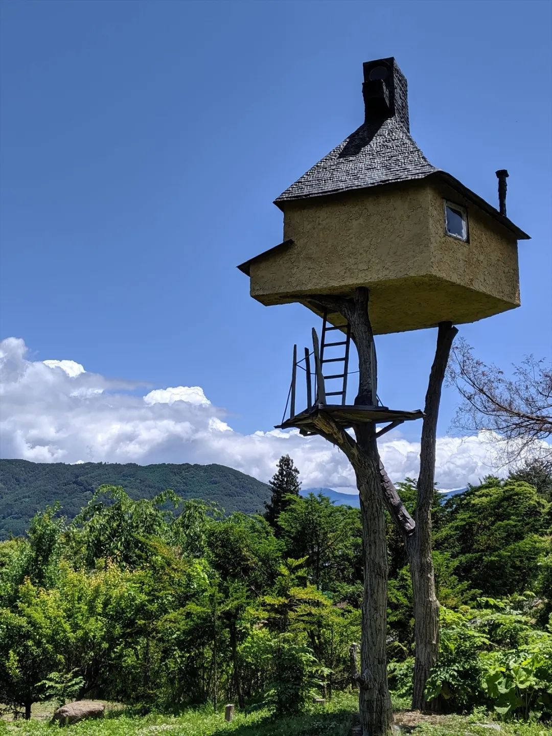 高過庵