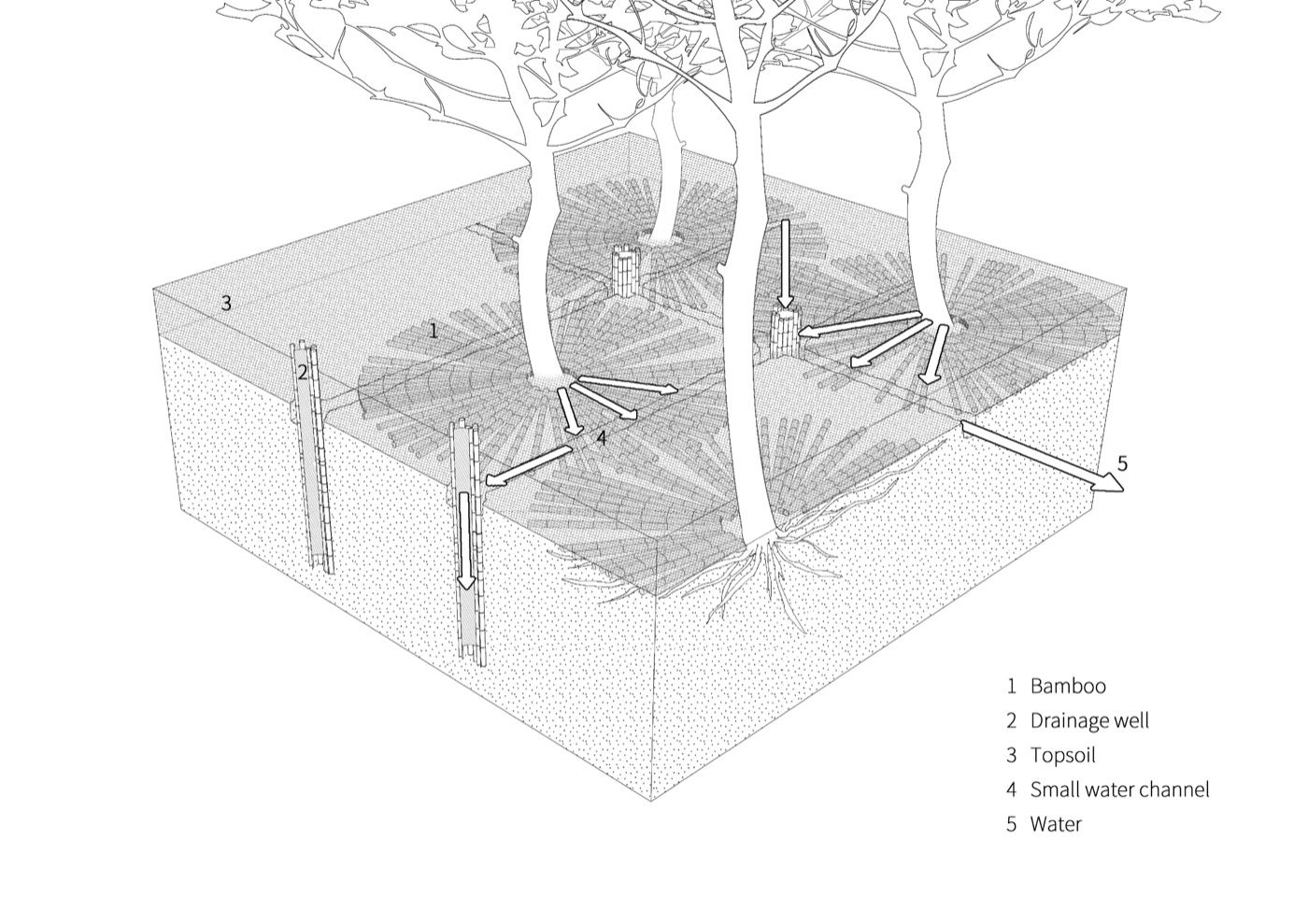 植栽根部圖，中原大學「泉源之谷」（Vale of Springs）／陳宣誠（ArchiBlur Lab / 共感地景創作）、蘇弘(＋＋工作室)、王文心(王文心設計工作室)