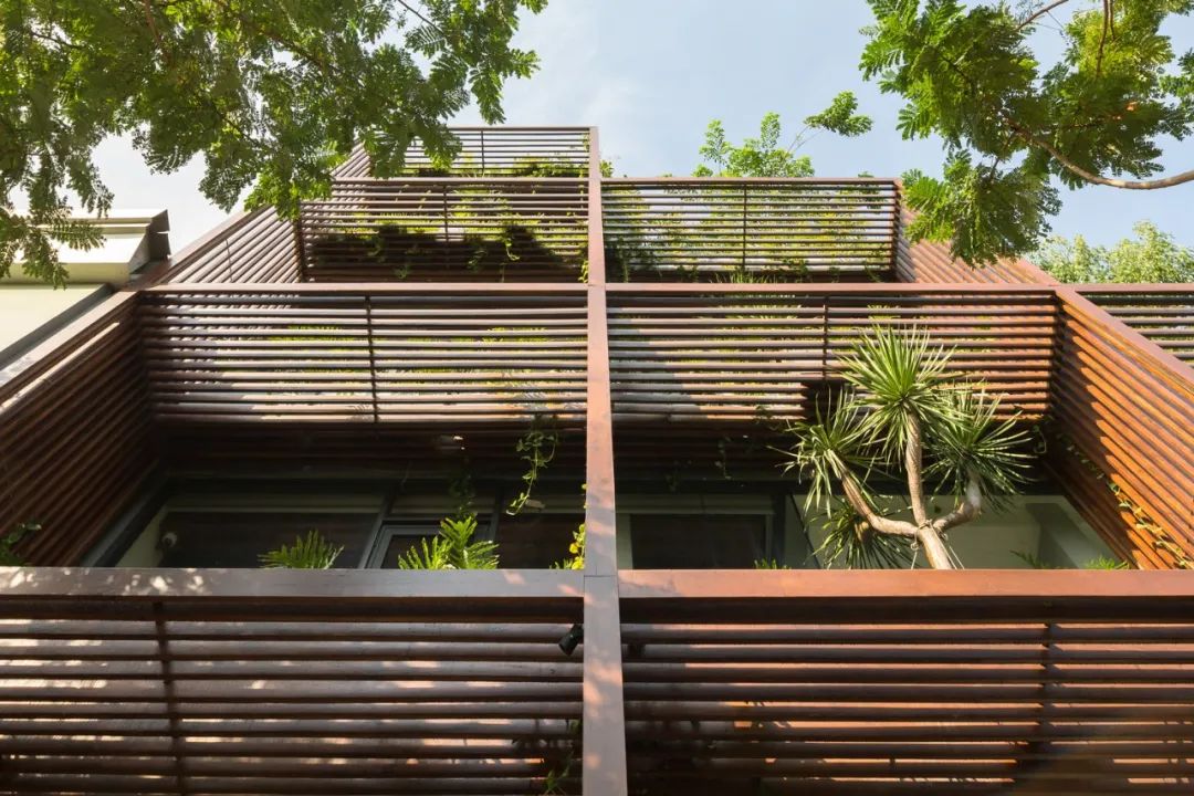 ，胡志明市垂直綠化辦公室Tony Fruit ／TAA DESIGN