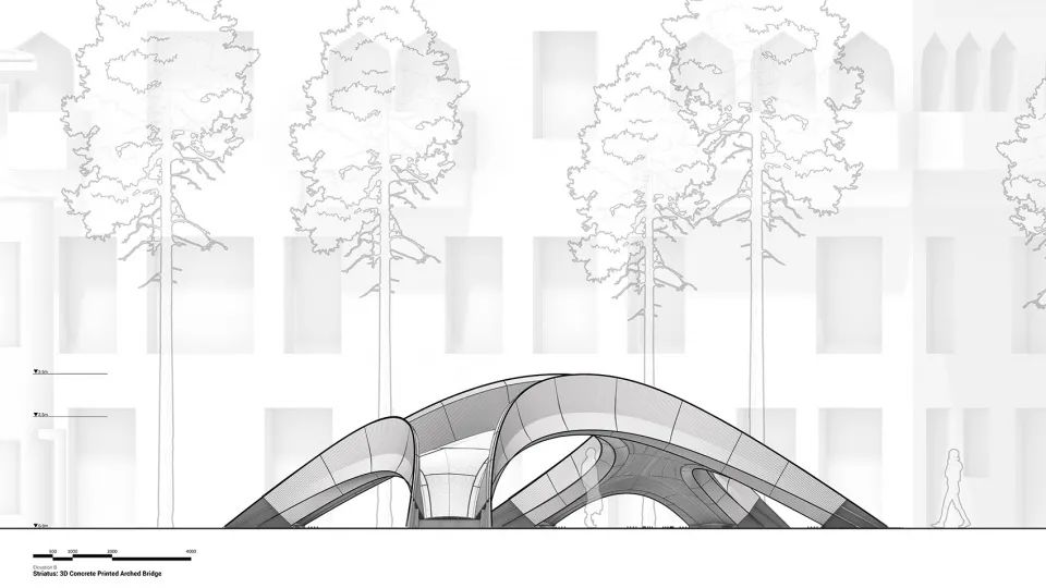 立面圖B 威尼斯Striatus人行步橋／Zaha Hadid Architects