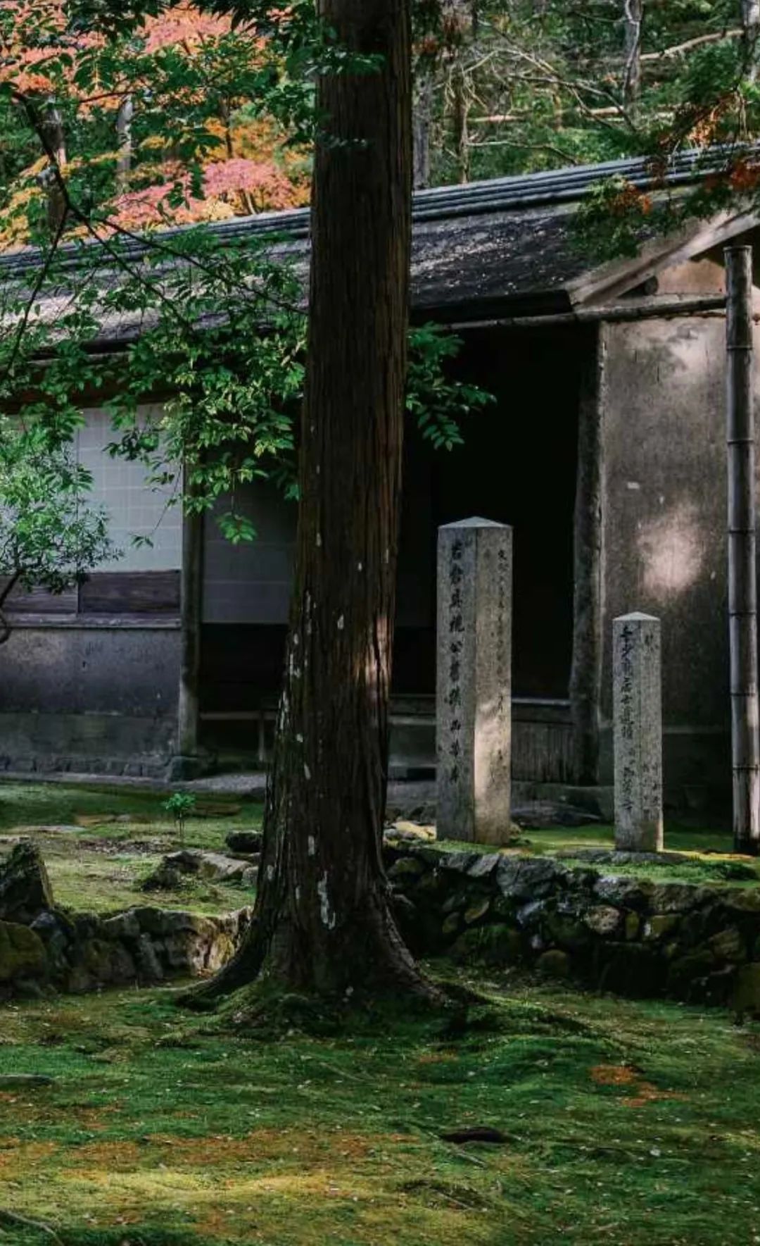 京都西芳寺