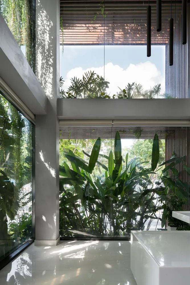 ，胡志明市垂直綠化辦公室Tony Fruit ／TAA DESIGN