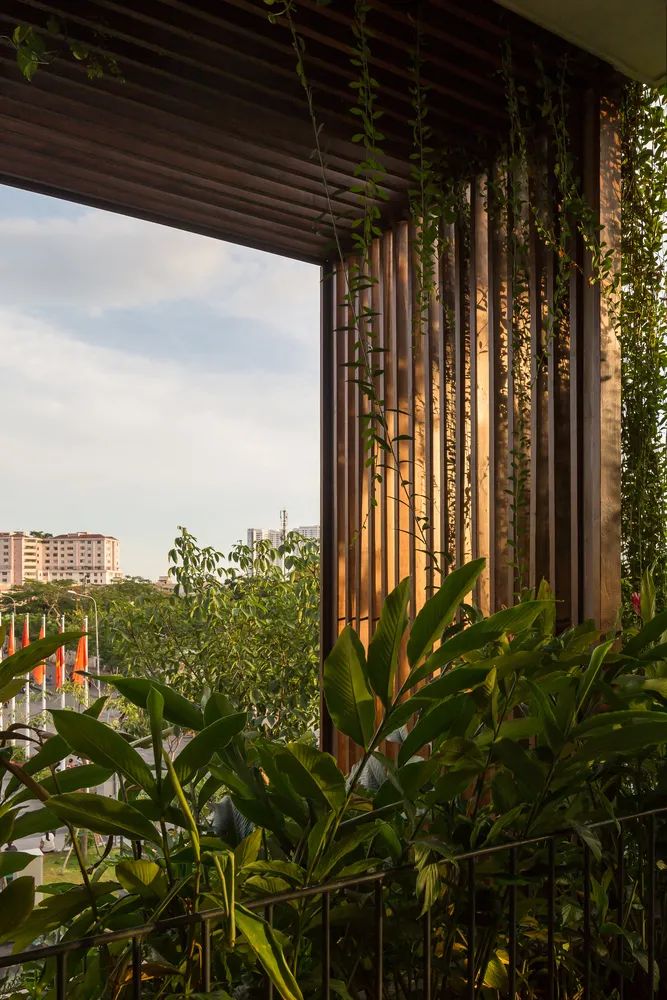 ，胡志明市垂直綠化辦公室Tony Fruit ／TAA DESIGN