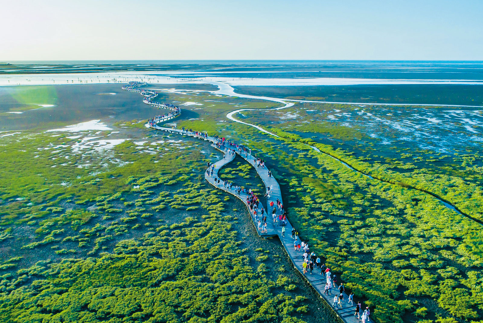 高美濕地美景浪漫動人。圖片來源：臺中都發局 臺中2050願景計畫 TAICHUNG 2050