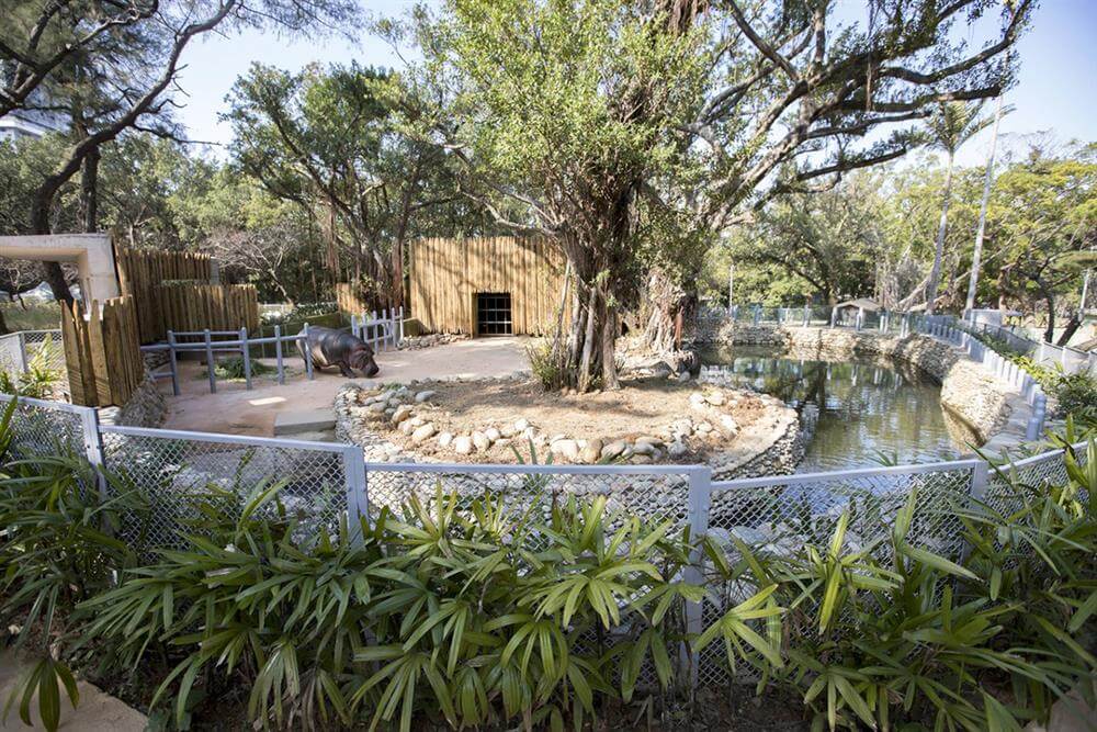 邱文傑建築師改造台灣最老動物園,新竹市立動物園以動物為本,沒有籠子!
