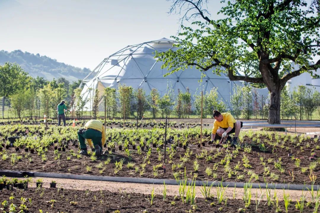 Vitra Oudolf Garten景觀園林／Piet Oudolf