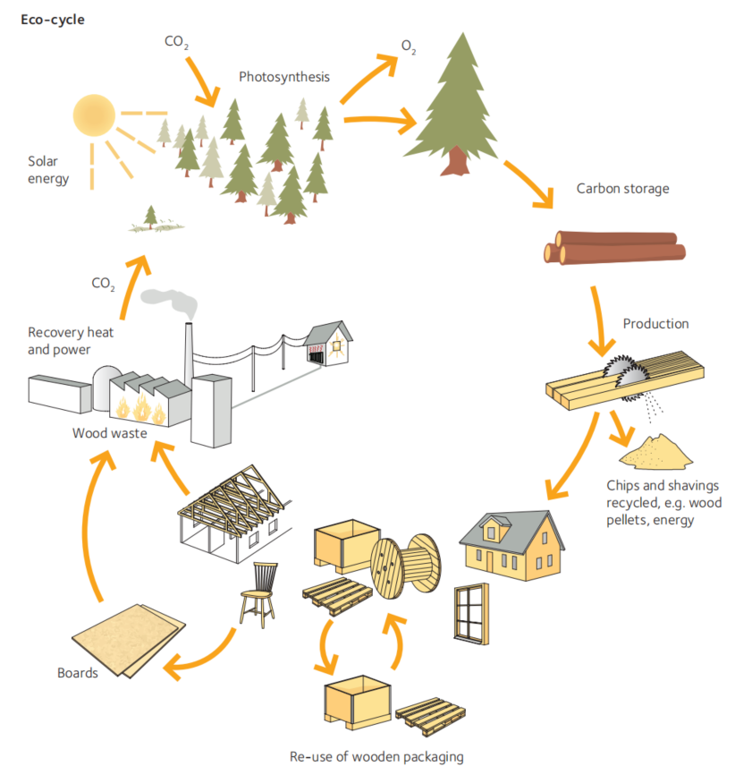 Figure 2：木材的整個生命週期。（來源： (Borgström & Johan, 2019)）