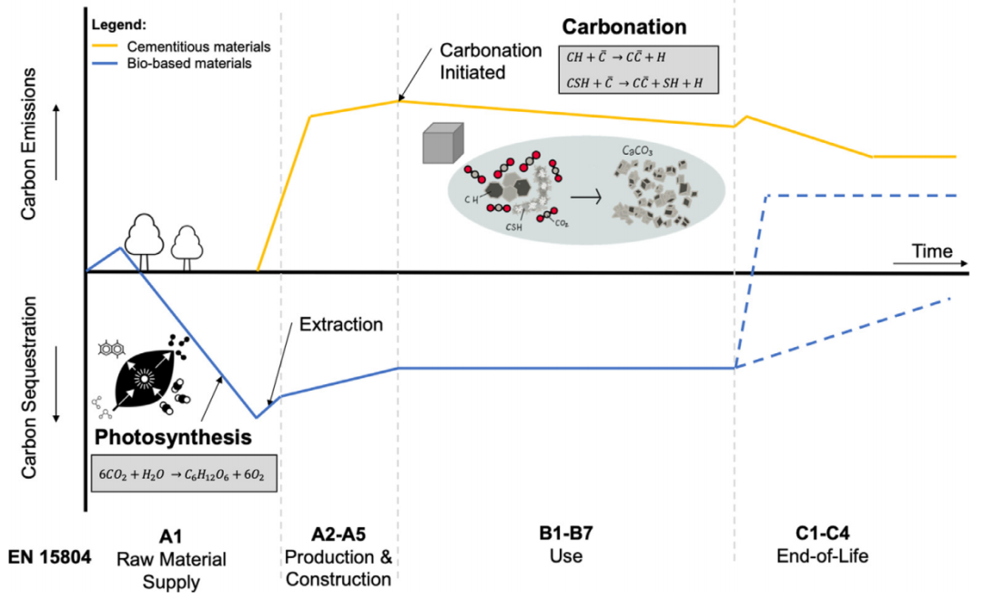 Figure 3：生物基材料和水泥材料全生命週期的碳排放/捕集對比。