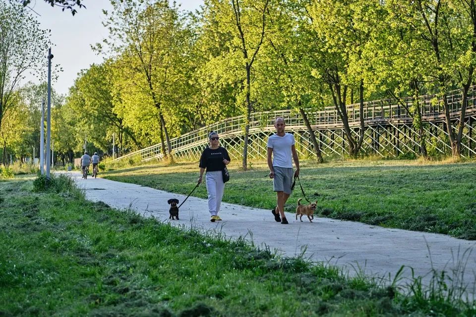 莫斯科河濱公園景觀設計 Moscow Moskva River landscape design／WOWHAUS