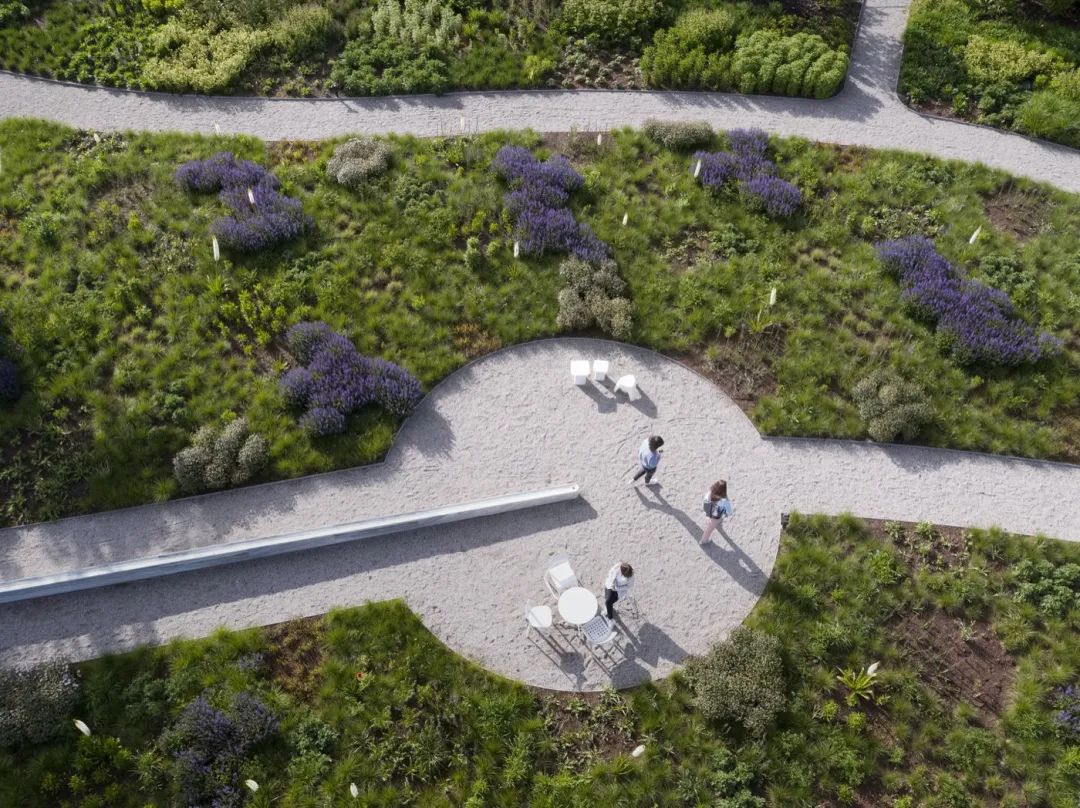 Vitra Oudolf Garten景觀園林／Piet Oudolf