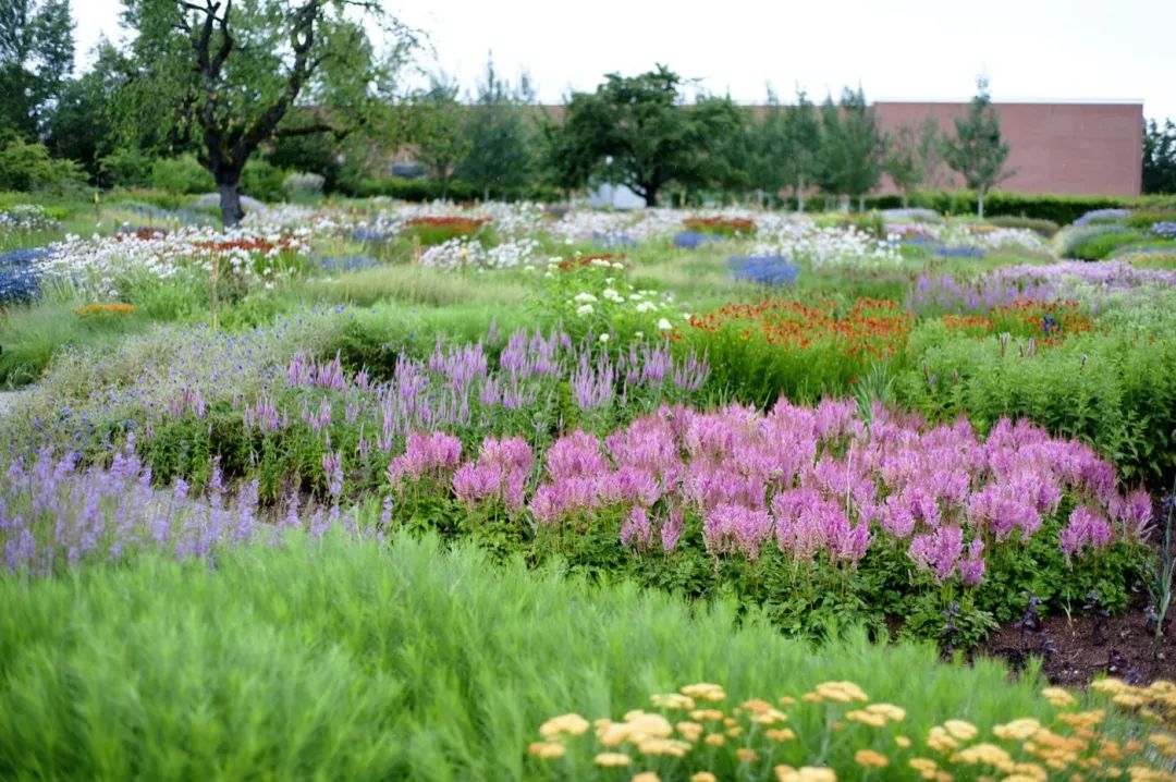 Vitra Oudolf Garten景觀園林／Piet Oudolf
