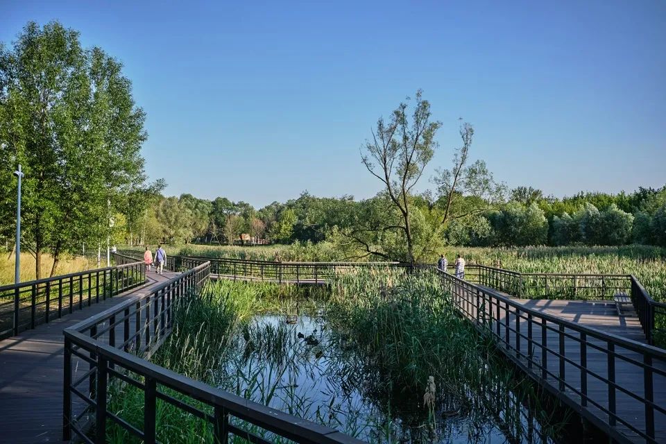 莫斯科河濱公園景觀設計 Moscow Moskva River landscape design／WOWHAUS