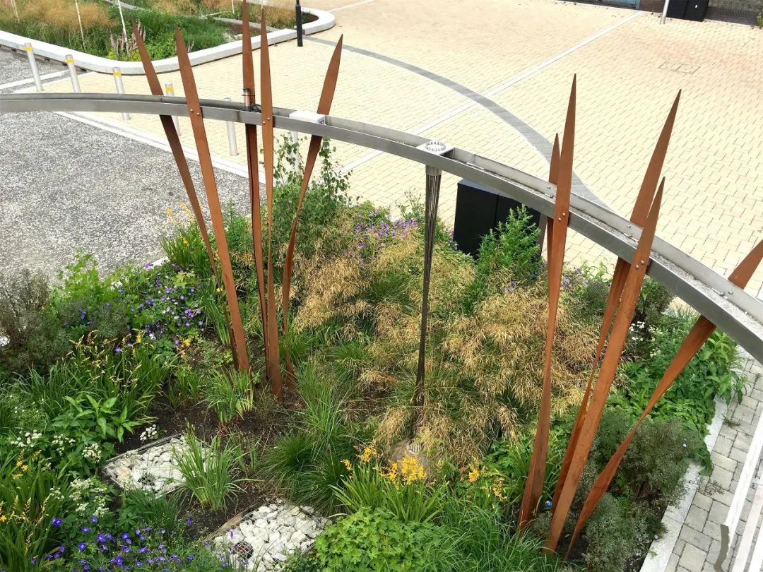 英國社區雨水花園廣場，Bridget Joyce Square／Robert Bray Associates