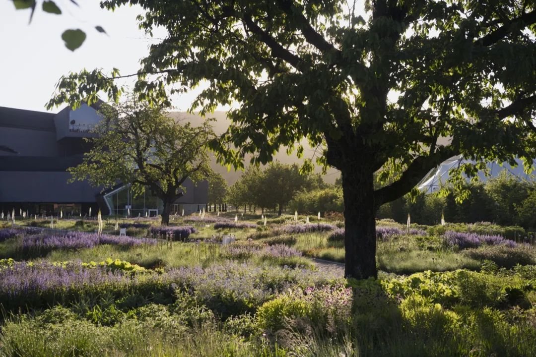 Vitra Oudolf Garten景觀園林／Piet Oudolf