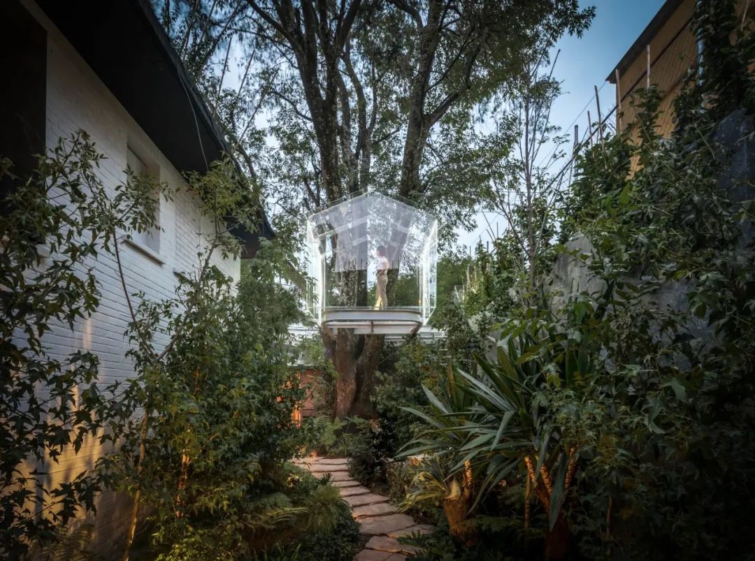 墨西哥水晶樹屋Crystal Treehouse／Broissin