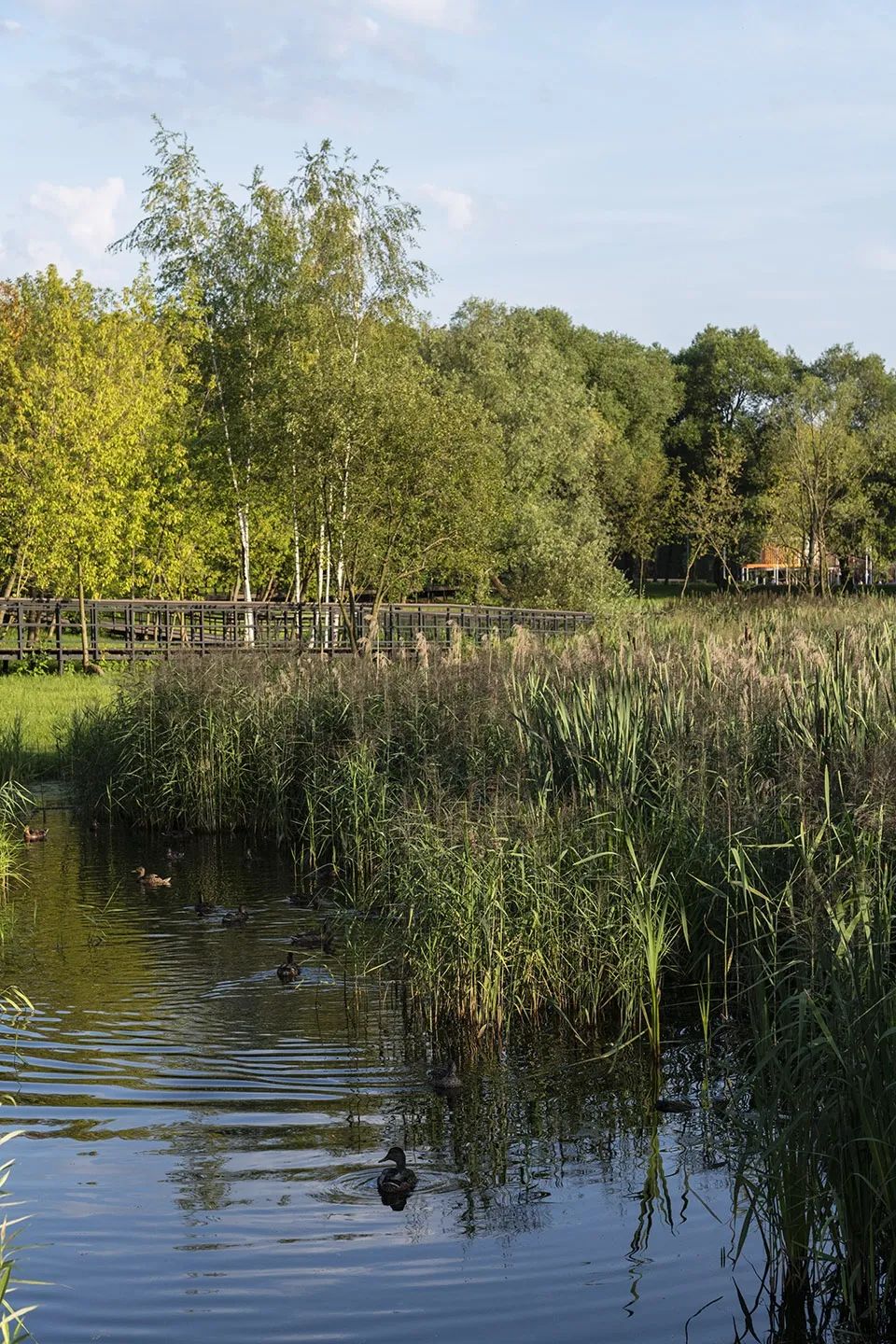 莫斯科河濱公園景觀設計 Moscow Moskva River landscape design/WOWHAUS