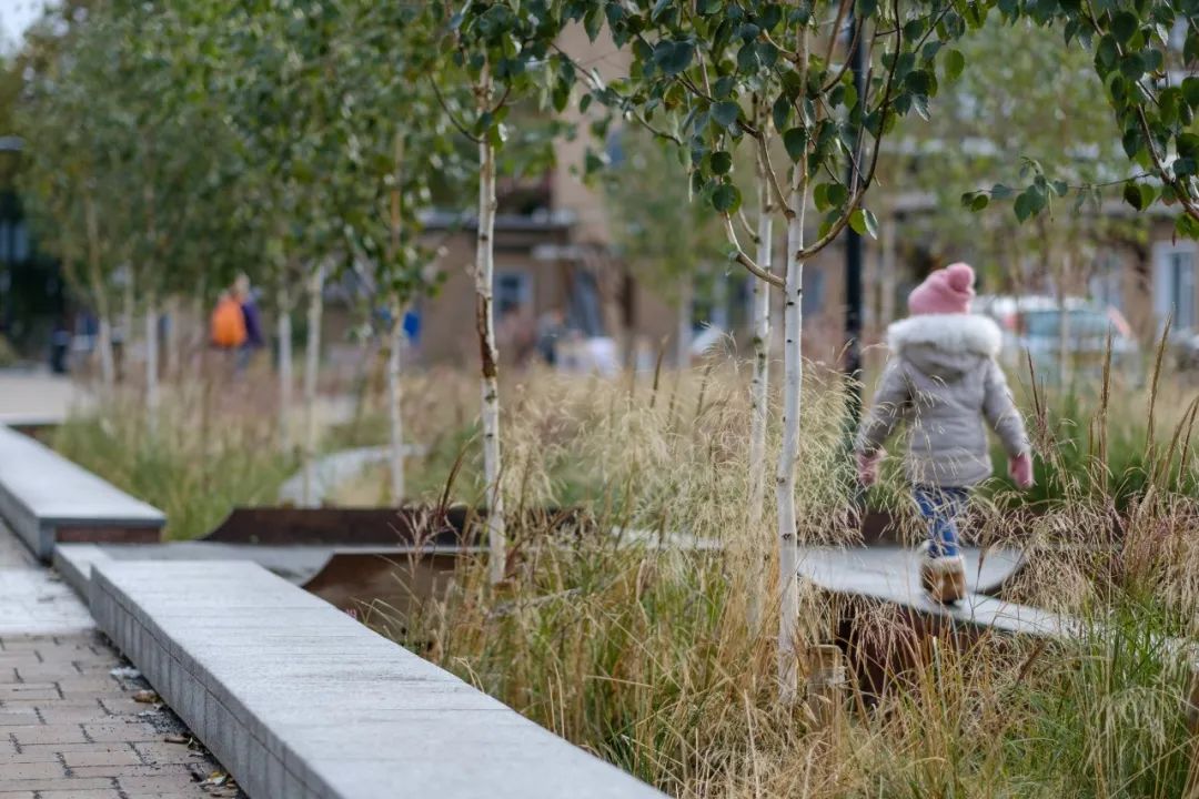 英國社區雨水花園廣場，Bridget Joyce Square／Robert Bray Associates