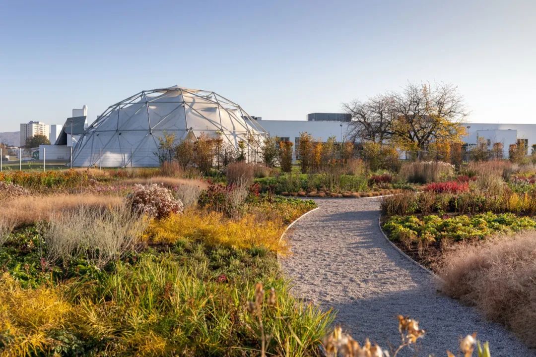 Vitra Oudolf Garten景觀園林／Piet Oudolf