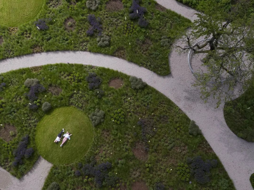 隆起的小丘讓人們可以躺在草地上享受這座園林。 Vitra Oudolf Garten景觀園林／Piet Oudolf