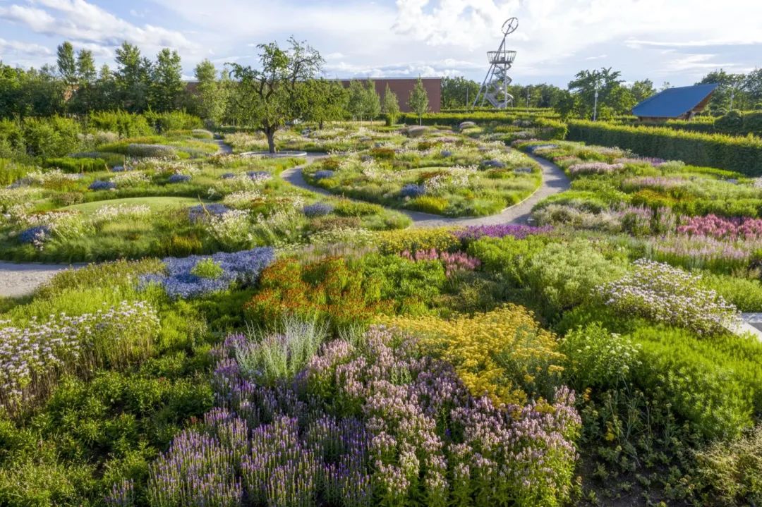 Vitra Oudolf Garten景觀園林／Piet Oudolf