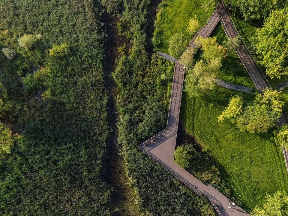 沼澤地中的生態步道鳥瞰
