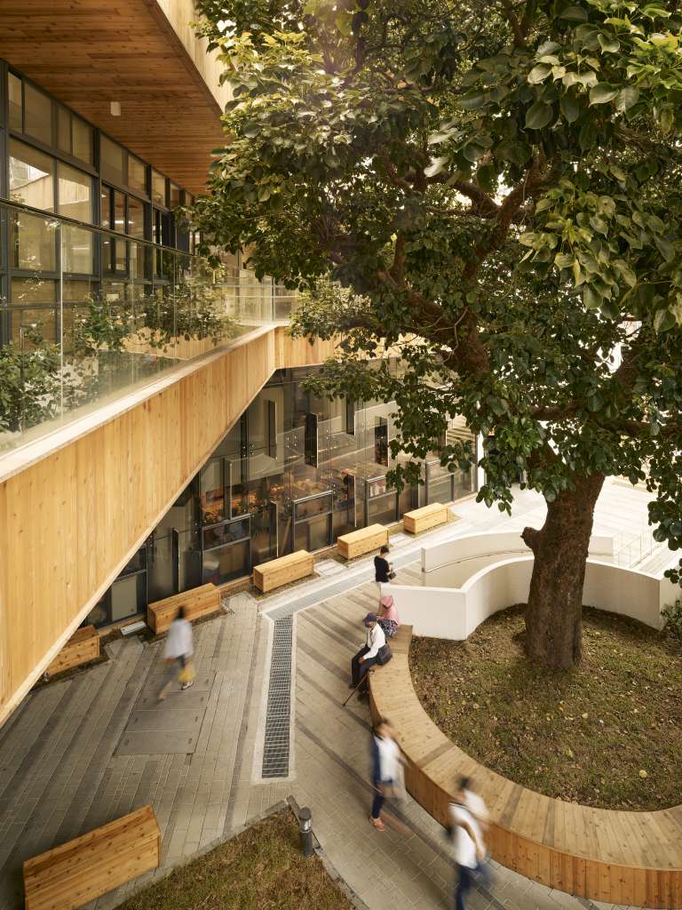 環抱著百年茄苳老樹綠蔭與在地共同記憶 新北市林口公有零售市場/盧俊廷建築師事務所