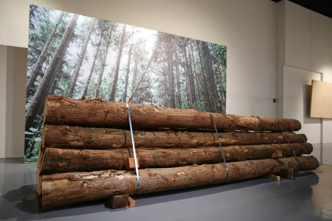 森林之嘉-現代木造建築特展 展場相片
