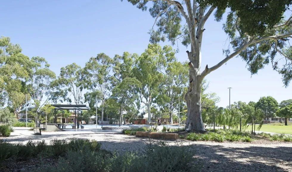 在地植栽打造溫馨的景觀空間 澳州伯斯社區公園景觀建築設計 Australia Perth Landscape Architecture Design Lathlain Park Community Zones/ REALMstudios + Urbis