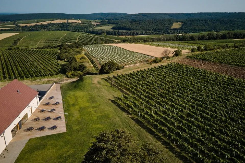 鳥瞰酒莊及葡萄園 Czech 捷克葡萄酒莊園內的品酒空間 葡萄酒窖Wine Bar Reisten／ORA