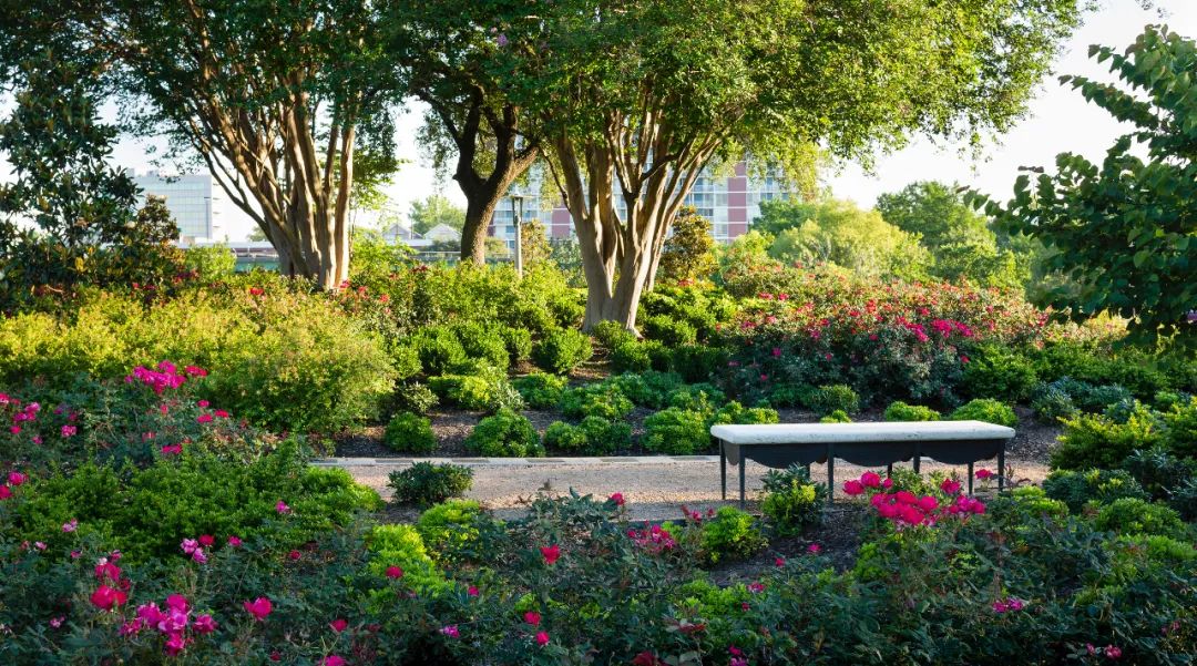，美國景觀設計師 Reed Hilderbrand landscape architect designer 