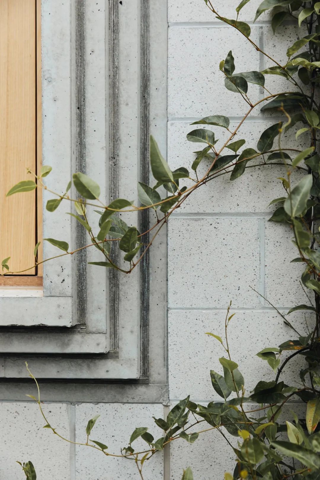 澳洲私人住宅 Australia Bellows House／Architects EAT