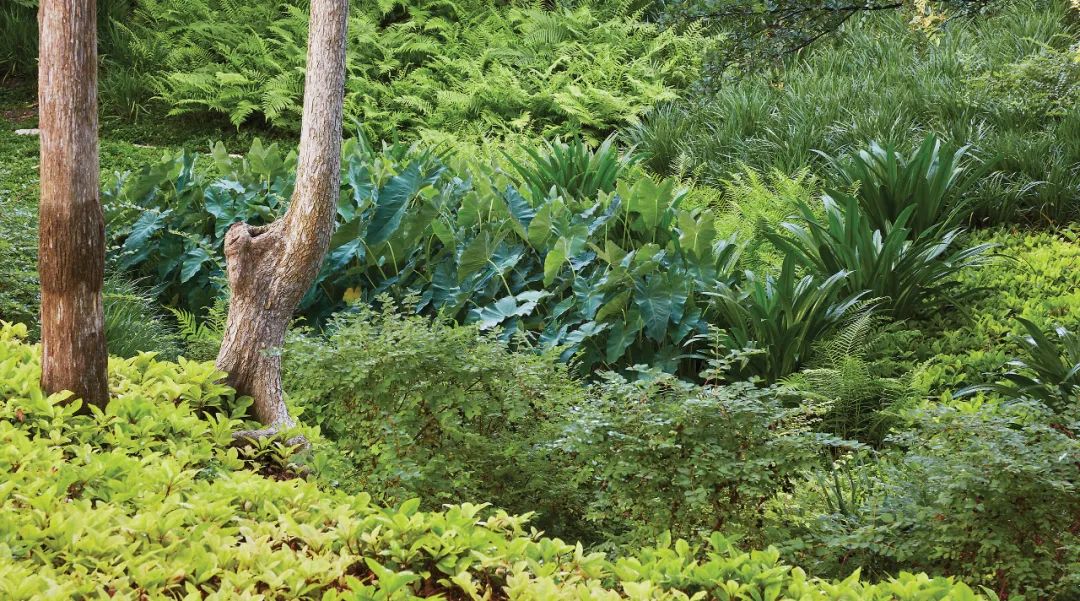 ，美國景觀設計師 Reed Hilderbrand landscape architect designer 