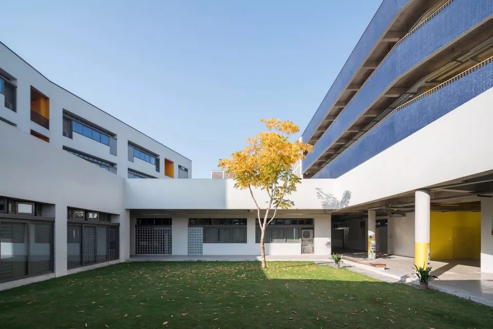 不同的樹種分別立於入口廣場和各個庭院之中帶給師生四季不同的空間記憶 上海嘉定同濟大學附屬實驗小學／劉宇揚建築事務所