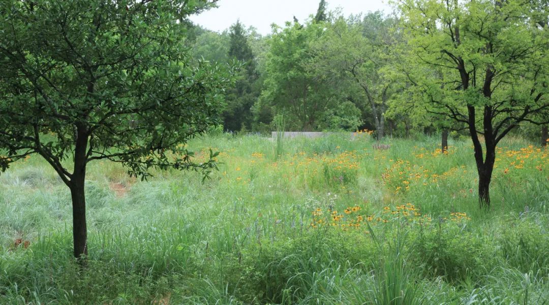 ，美國景觀設計師 Reed Hilderbrand landscape architect designer 