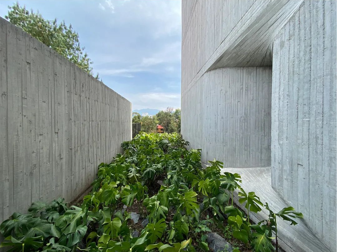 墨西哥清水混凝土集合住宅DL1310 APARTMENTS ／YOUNG & AYATA + Michan Architecture