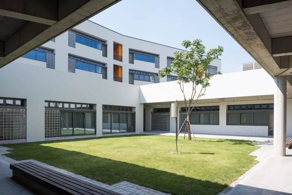 不同的樹種分別立於入口廣場和各個庭院之中帶給師生四季不同的空間記憶 上海嘉定同濟大學附屬實驗小學／劉宇揚建築事務所