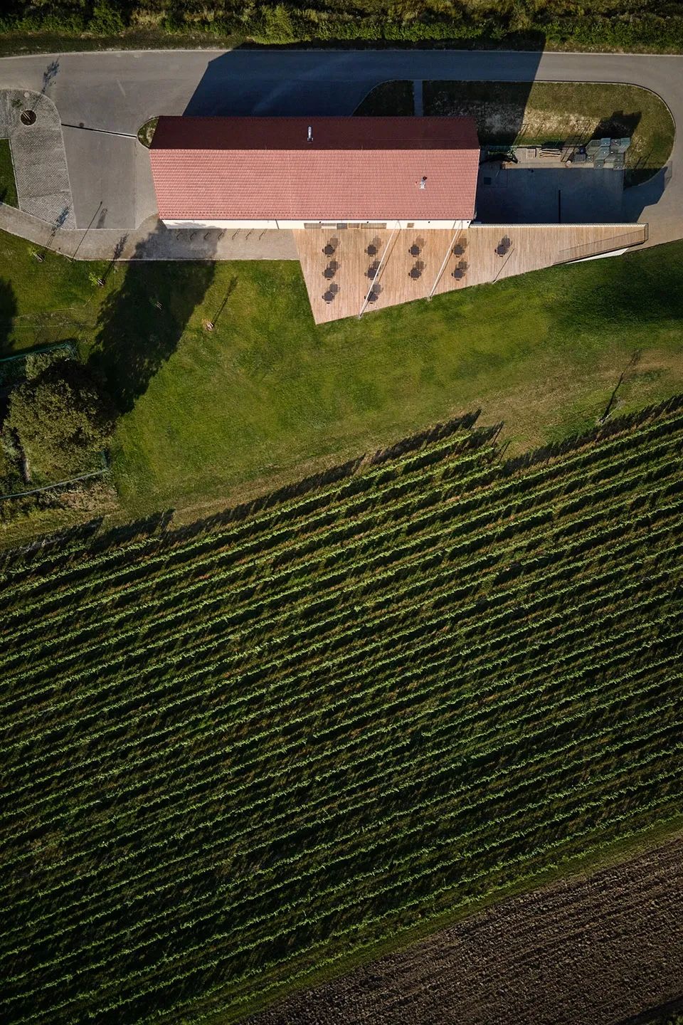 鳥瞰酒莊及葡萄園 Czech 捷克葡萄酒莊園內的品酒空間 葡萄酒窖Wine Bar Reisten/ORA