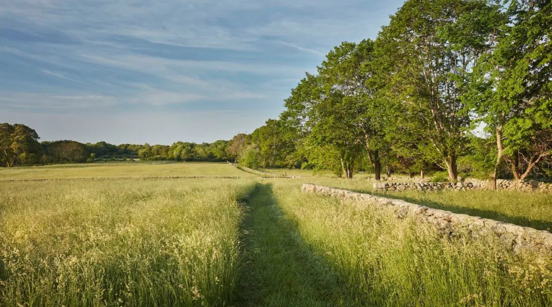 ，美國景觀設計師 Reed Hilderbrand landscape architect designer 