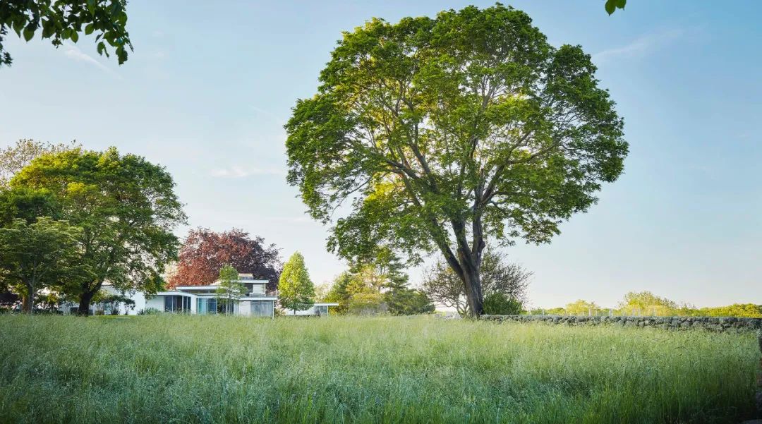 ，美國景觀設計師 Reed Hilderbrand landscape architect designer 