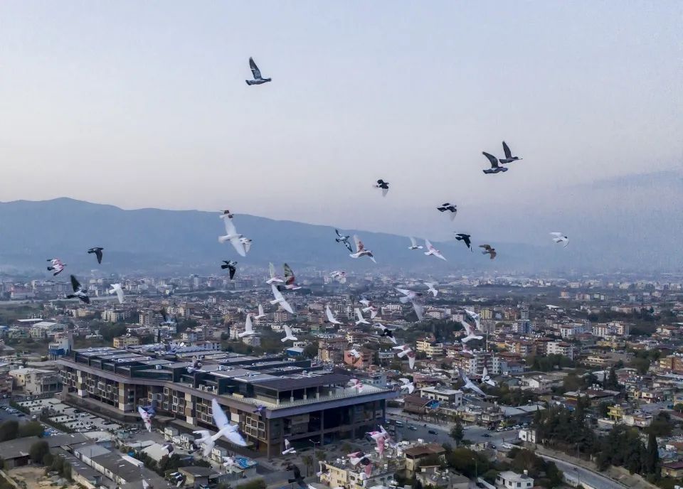 安塔基亞博物館酒店（The Museum Hotel Antakya）位於土耳其安塔基亞（Antakya）市中心 土耳其安塔基亞博物館酒店The Museum Hotel Antakya／Emre Arolat Architecture