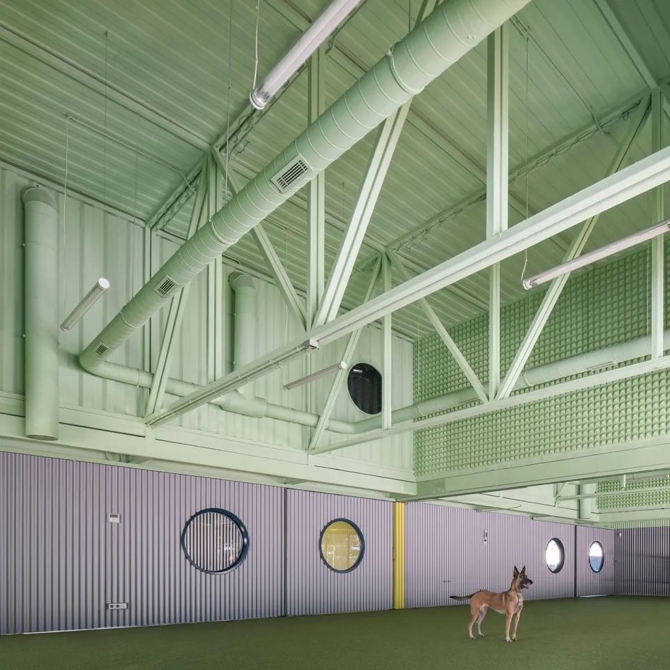 西班牙狗與人及其他物種訓練學校Educan School for Dogs, Humans and Other Species／Eeestudio + Lys Villalba