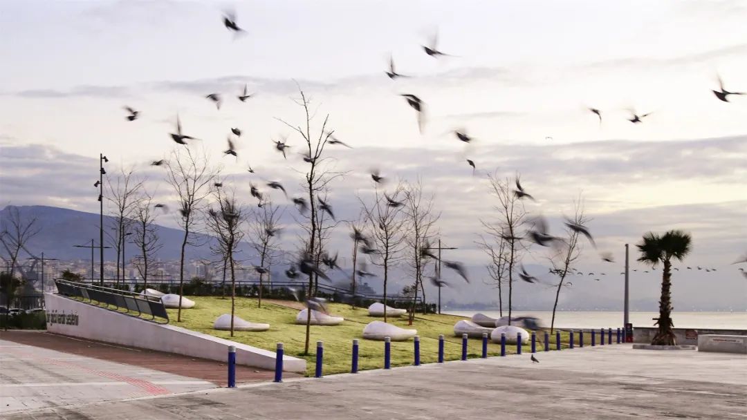 土耳其水岸景觀空間改造 阿萊貝花園 Turkey İzmir Alaybey Garden waterfront landscape architecture design/Studio Evren Başbuğ