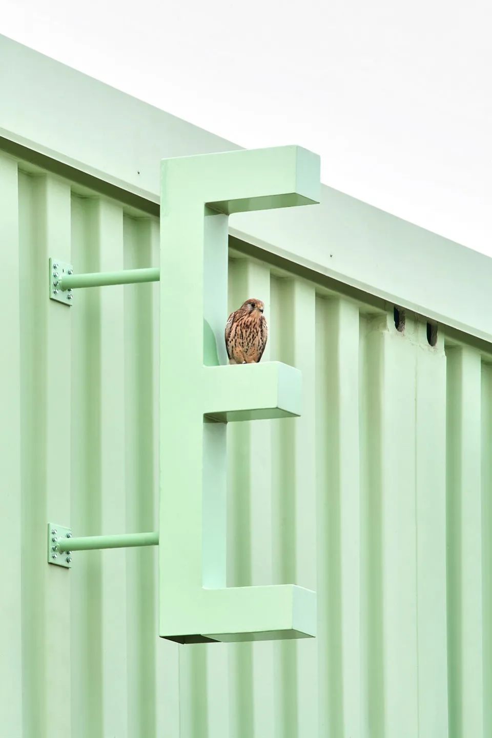 西班牙狗與人及其他物種訓練學校Educan School for Dogs, Humans and Other Species/Eeestudio + Lys Villalba