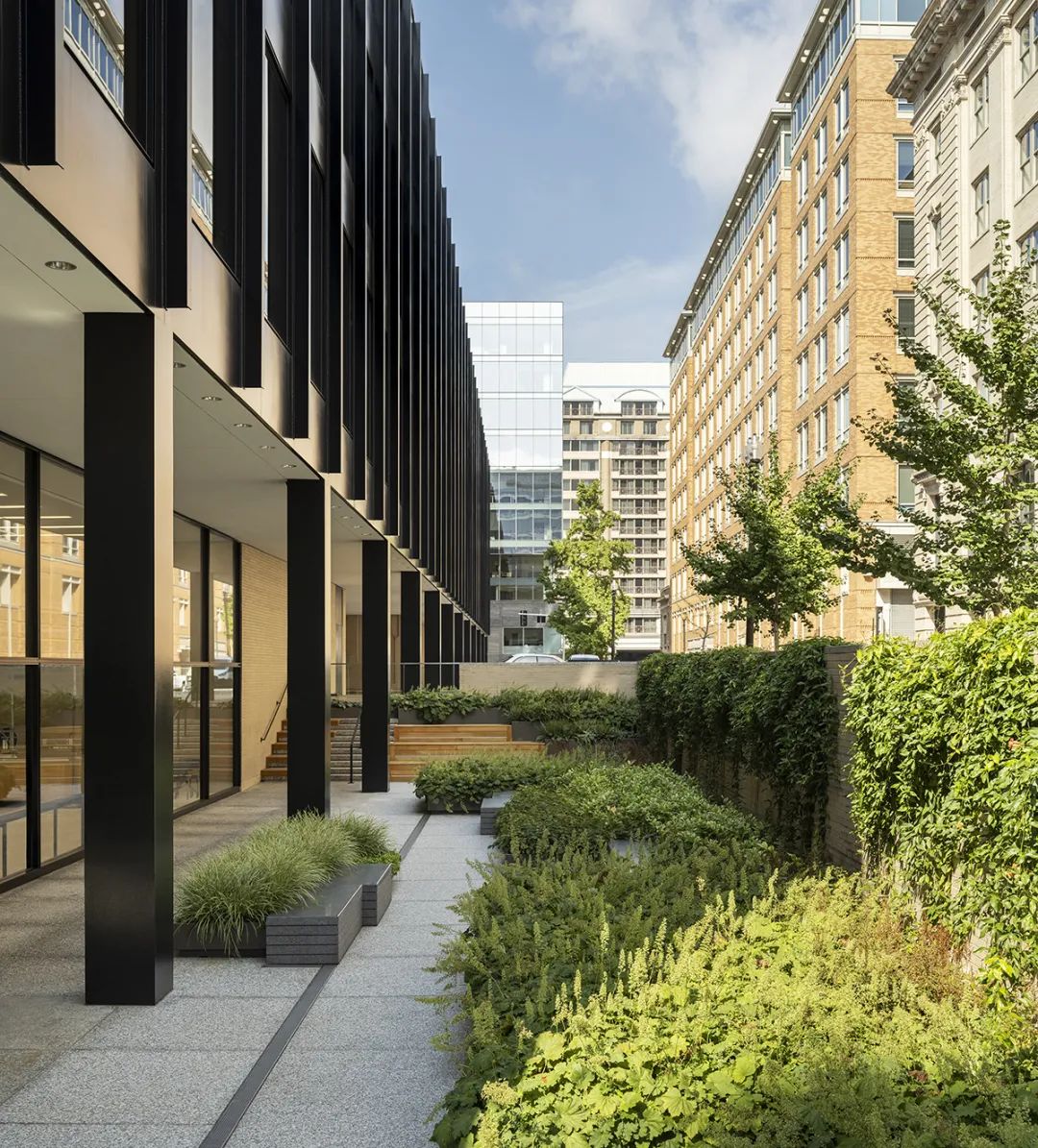 室外景觀 馬丁·路德·金紀念圖書館整修工程The Martin Luther King Jr. Memorial Library/Mecanoo + OTJ Architects