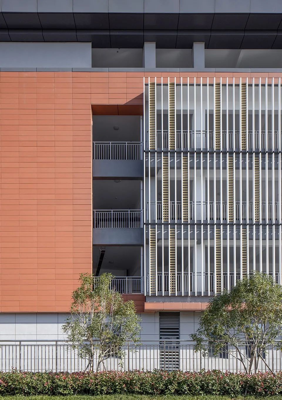China School Campus Architecture Design 中國銅陵市十五中西湖校區及師範附小新校區／地平線建築設計