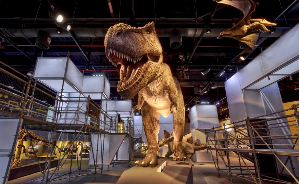 DinoLab 恐龍實驗室展場／行一建築 • 彭文苑建築師事務所：透過鷹架的粗獷，去平衡恐龍的巨大：攝影：汪德範