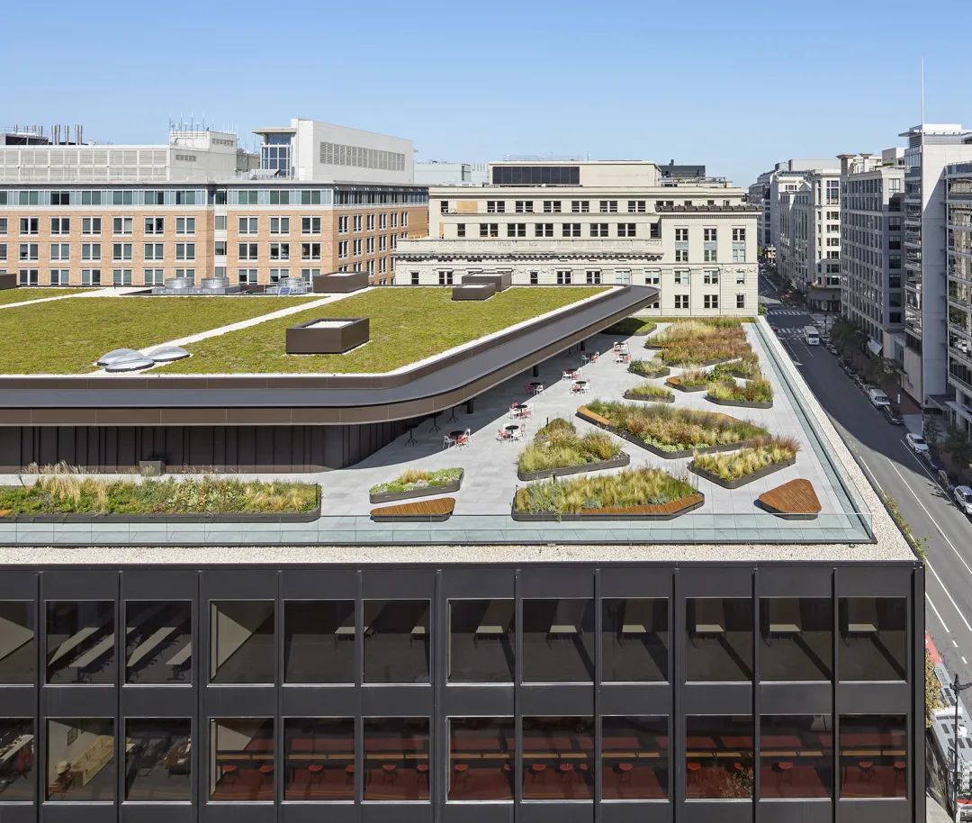 綠屋頂成為空中花園 馬丁·路德·金紀念圖書館整修工程The Martin Luther King Jr. Memorial Library/Mecanoo + OTJ Architects