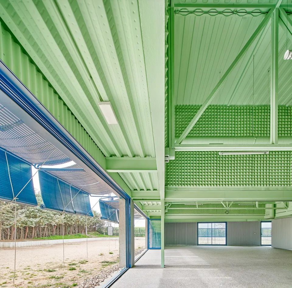 西班牙狗與人及其他物種訓練學校Educan School for Dogs, Humans and Other Species／Eeestudio + Lys Villalba